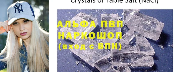 ECSTASY Строитель