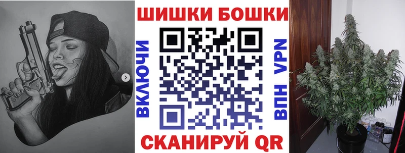 где найти наркотики  Волосово  Шишки марихуана сатива 
